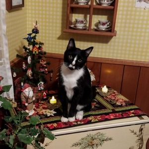 Meet your Posher, Diane